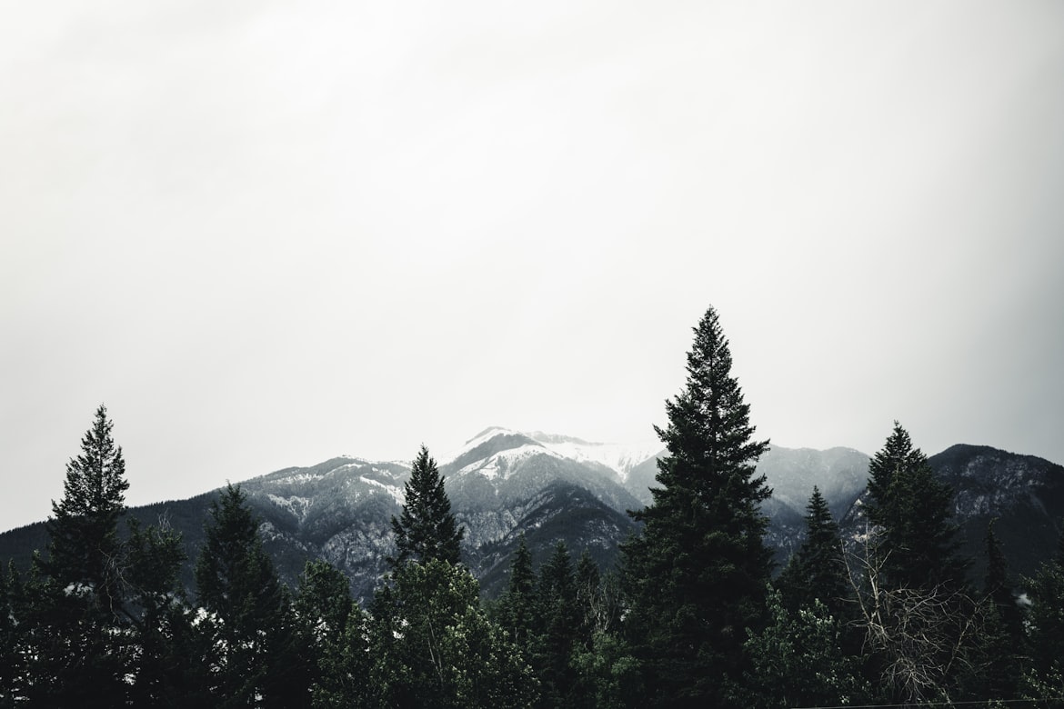 Naturlandschaft für die Systemanbindung
